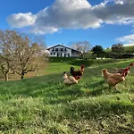B&B Amama