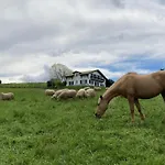 Amama Отель типа 