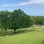 Amama Отель типа 