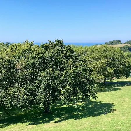 Amama يورونْيِ