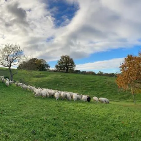 Amama فندق مبيت وإفطار يورونْيِ