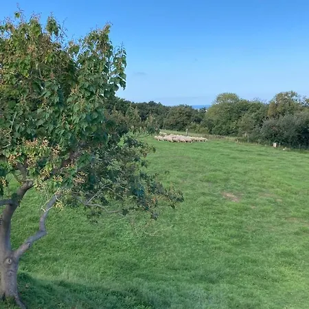 Amama 3* يورونْيِ