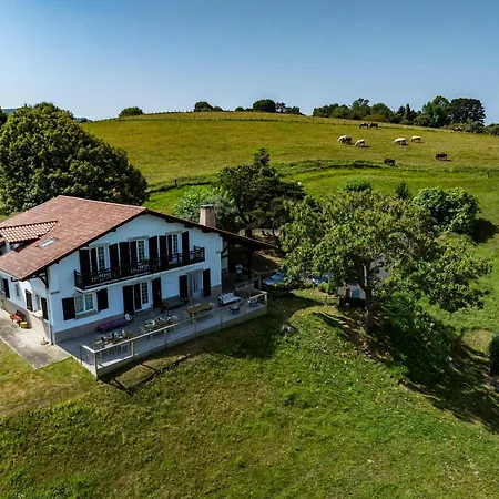 Bed & Breakfast Amama