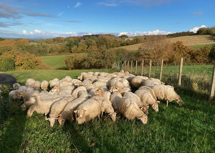 Amama Bed and breakfast