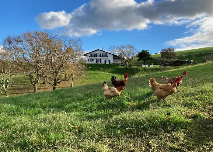 Bed & Breakfast Amama