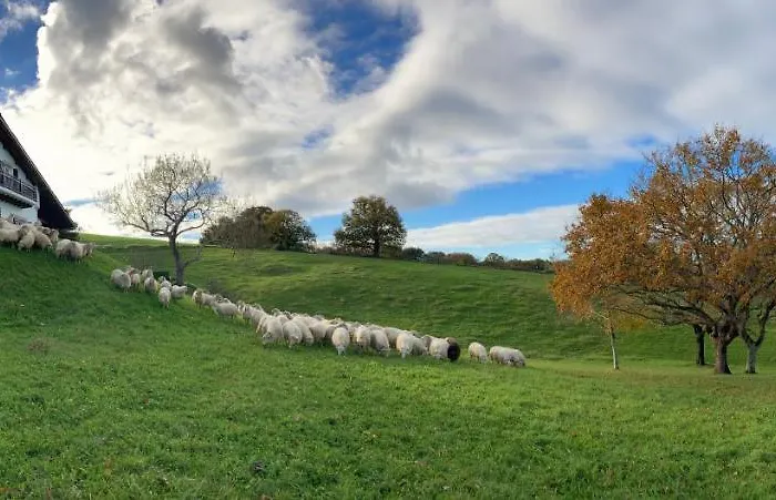 Amama Bed and breakfast Urrugne