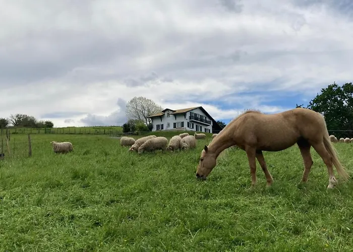 Amama Bed & Breakfast 3*