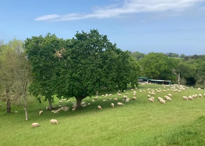 Amama Bed & Breakfast