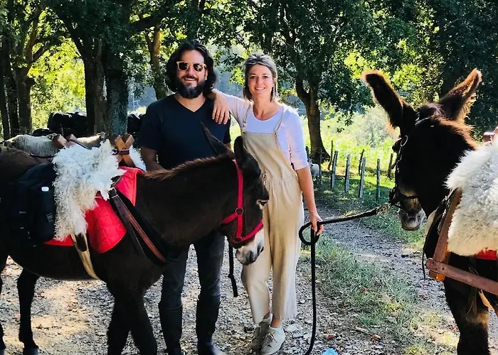 Bed and breakfast Amama 3*