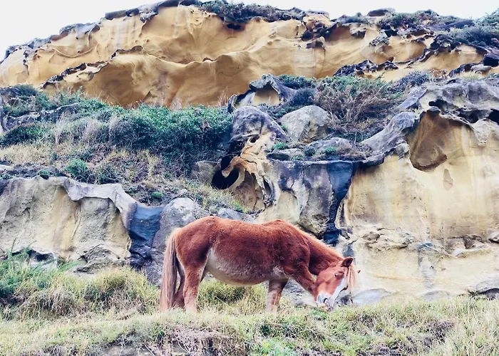 Amama Bed and breakfast 3*